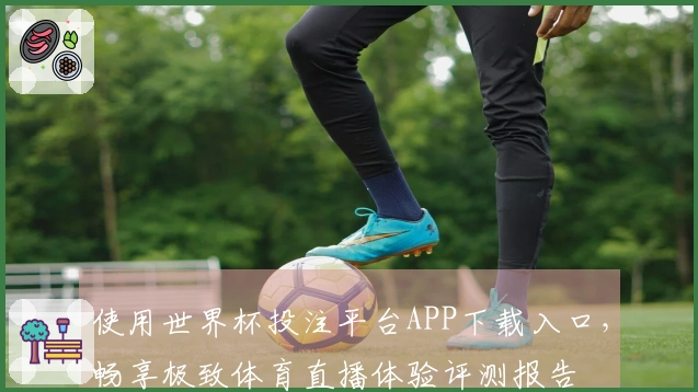 使用世界杯投注平台APP下载入口，畅享极致体育直播体验评测报告