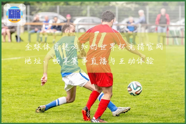 全球体育迷必知的世界杯竞猜官网地址，畅享赛事直播与互动体验
