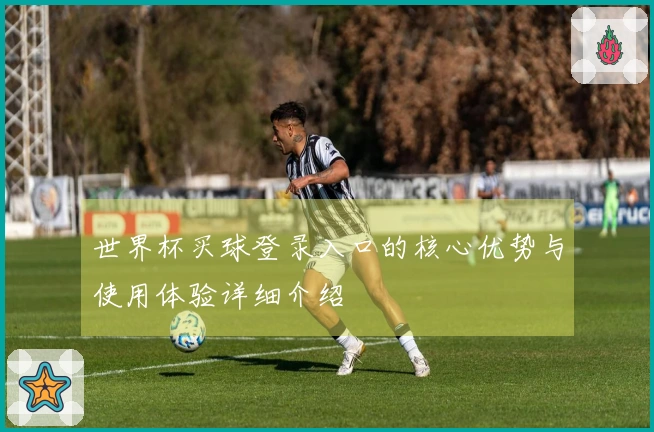 世界杯买球登录入口的核心优势与使用体验详细介绍