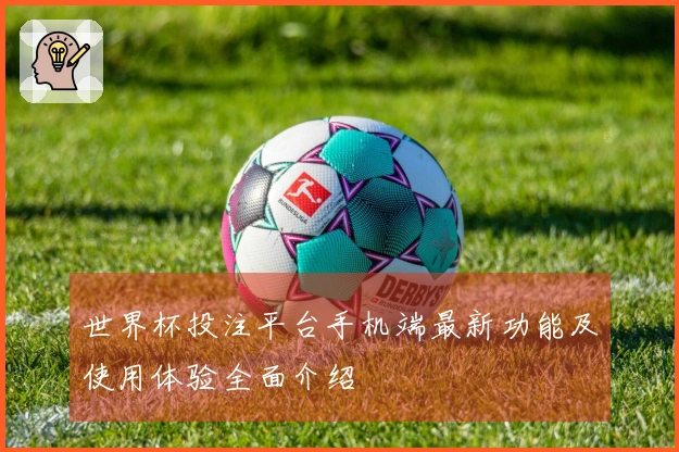 世界杯投注平台手机端最新功能及使用体验全面介绍