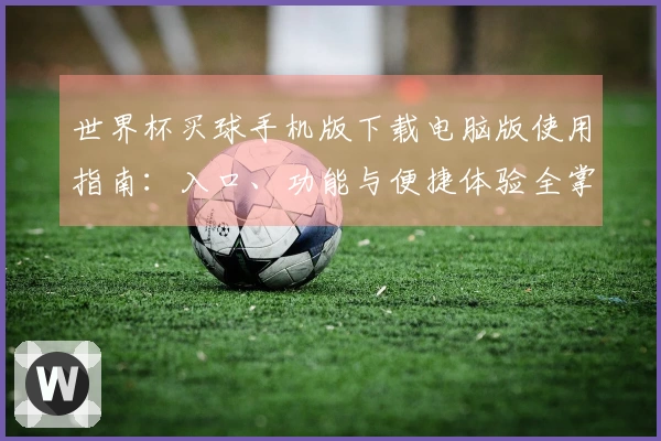 世界杯买球手机版下载电脑版使用指南：入口、功能与便捷体验全掌握