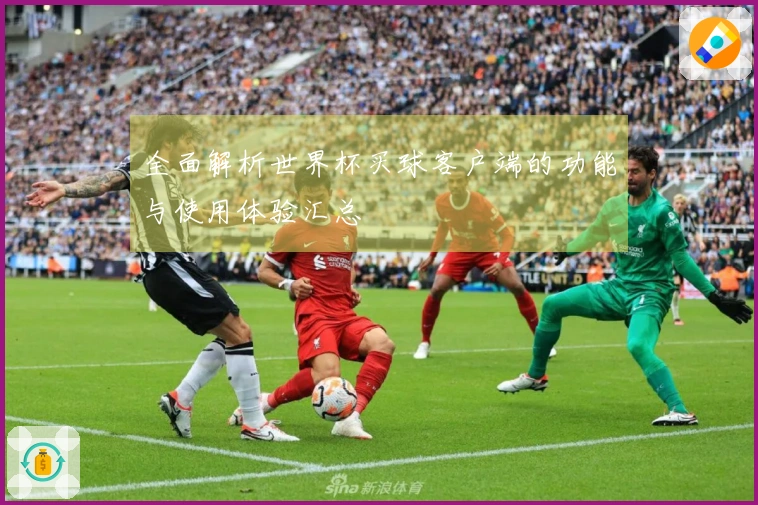 全面解析世界杯买球客户端的功能与使用体验汇总