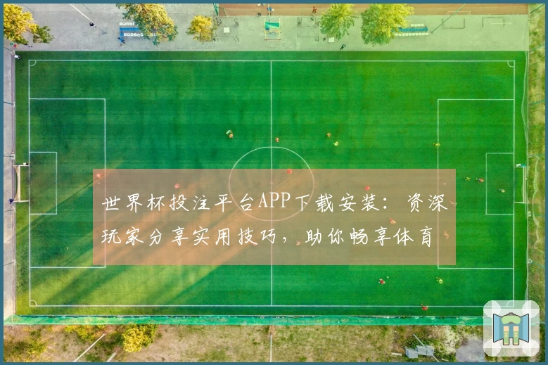 世界杯投注平台APP下载安装:资深玩家分享实用技巧,助你畅享体育直播