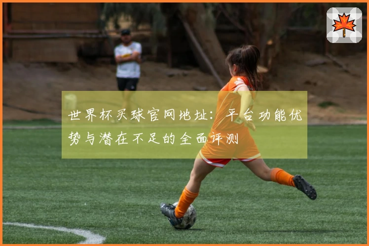 世界杯买球官网地址：平台功能优势与潜在不足的全面评测