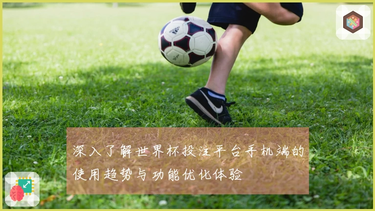 深入了解世界杯投注平台手机端的使用趋势与功能优化体验