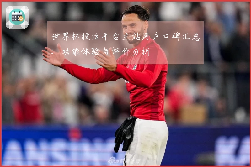 世界杯投注平台主站用户口碑汇总：功能体验与评价分析