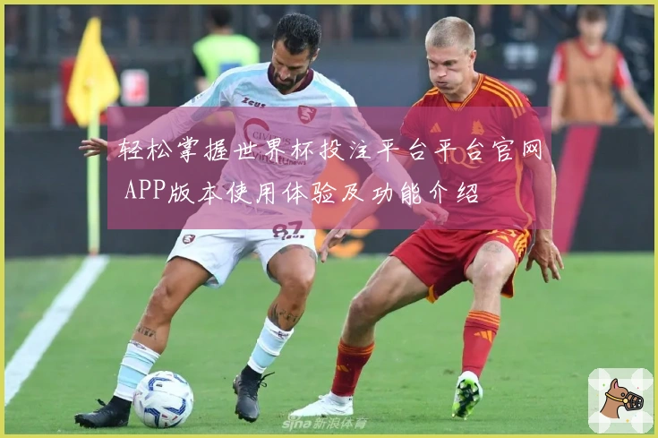 轻松掌握世界杯投注平台平台官网 APP版本使用体验及功能介绍