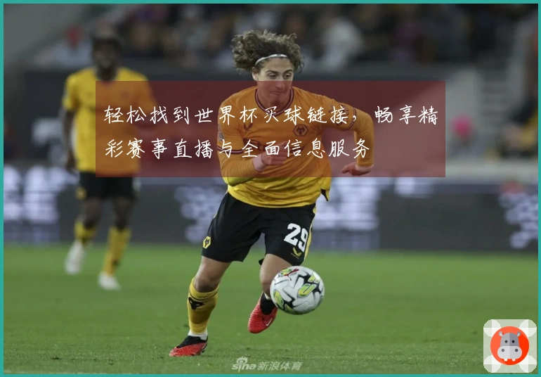 轻松找到世界杯买球链接，畅享精彩赛事直播与全面信息服务