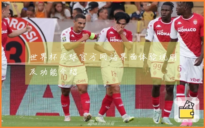 世界杯买球官方网站界面体验说明及功能介绍