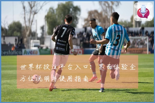 世界杯投注平台入口:界面体验全方位说明与使用指南