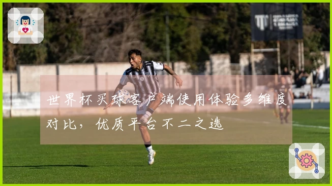世界杯买球客户端使用体验多维度对比，优质平台不二之选