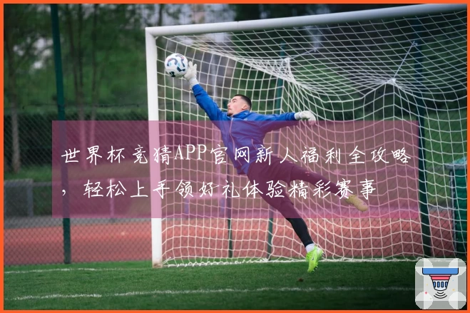 世界杯竞猜APP官网新人福利全攻略，轻松上手领好礼体验精彩赛事