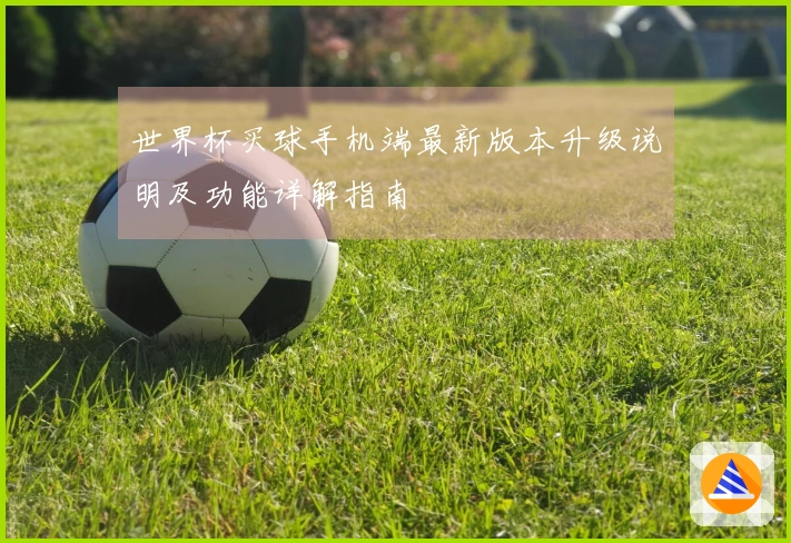 世界杯买球手机端最新版本升级说明及功能详解指南