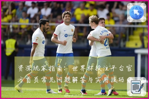 资深玩家指南：世界杯投注平台官方首页常见问题解答与实用技巧分享