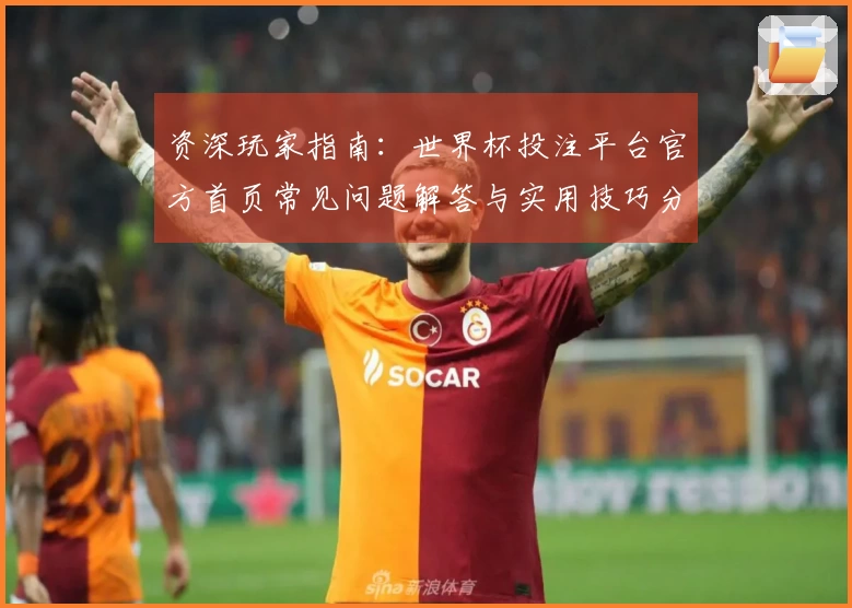 资深玩家指南：世界杯投注平台官方首页常见问题解答与实用技巧分享