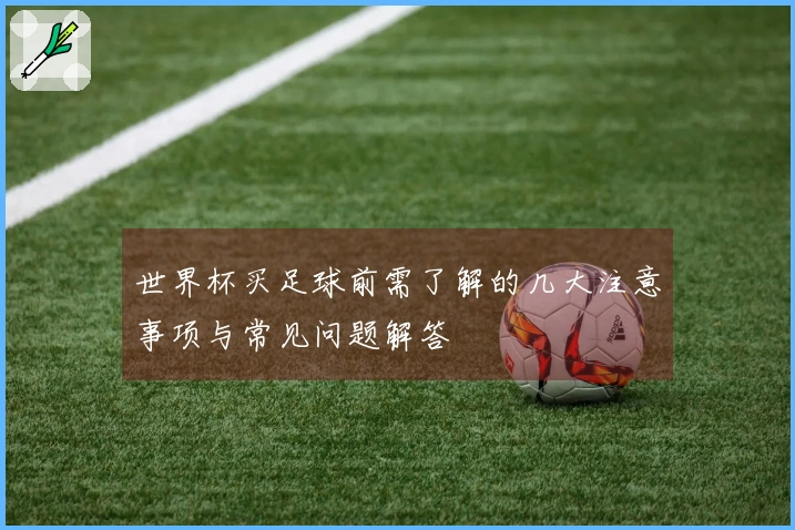 世界杯买足球前需了解的几大注意事项与常见问题解答